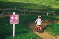 Wexl trails Kiddies Line