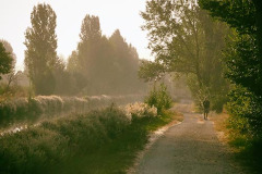 Camino Frances at Frómista