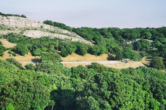 Radi forest goat study site, 15 years later