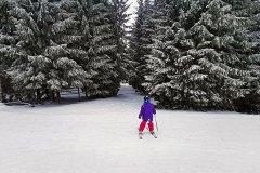 first tree skiing session, Cerkno