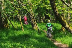 bring your kindergarden friend to the trails day, Črnuče