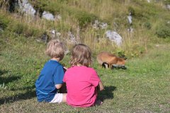 Kindergarden BFFs with the resident fox at Koča pod Bogatinom ©AnžeB