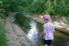 a wet walk