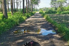 home alone Barje gravel ride